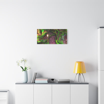 Enchanted Forest Moss Path Canvas Print — Matte Stretched Wall Art