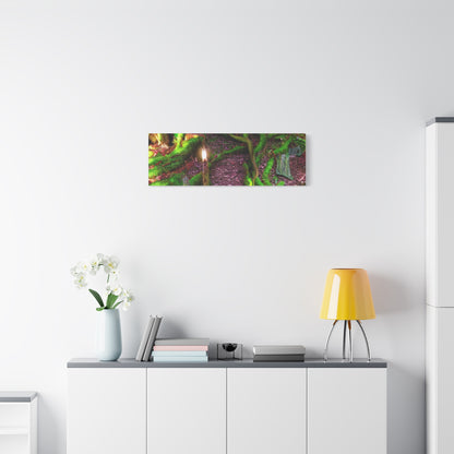Enchanted Forest Moss Path Canvas Print — Matte Stretched Wall Art