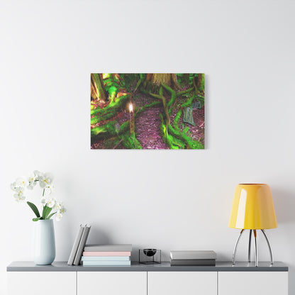 Enchanted Forest Moss Path Canvas Print — Matte Stretched Wall Art
