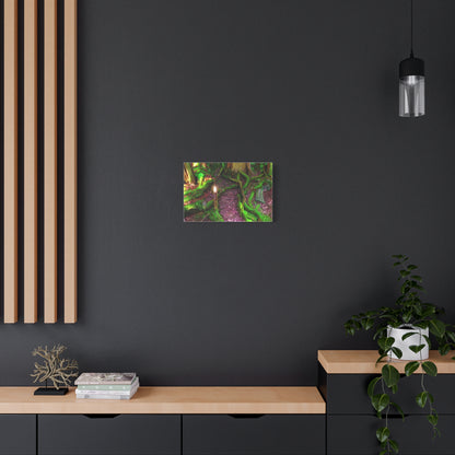 Enchanted Forest Moss Path Canvas Print — Matte Stretched Wall Art