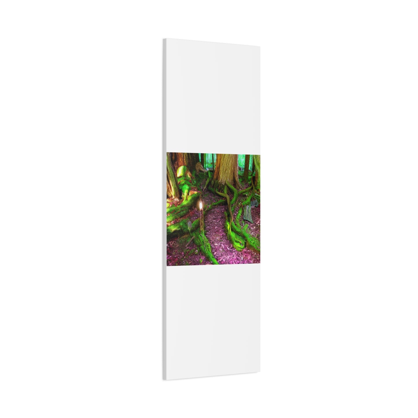 Enchanted Forest Moss Path Canvas Print — Matte Stretched Wall Art