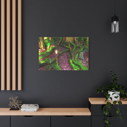 Enchanted Forest Moss Path Canvas Print — Matte Stretched Wall Art